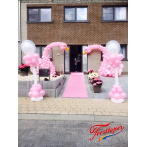 baby roze-zwanen-feestloper