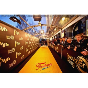 gouden glitter loper televizierring